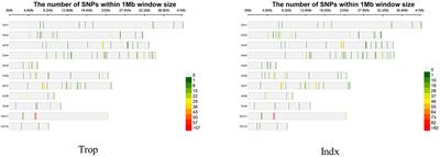 Validation of genes affecting rice mesocotyl length through candidate association analysis and identification of the superior haplotypes